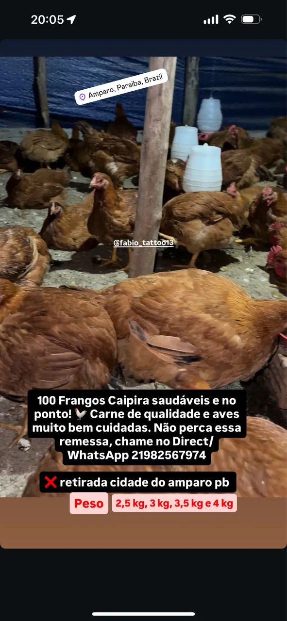 Frangos caipira 