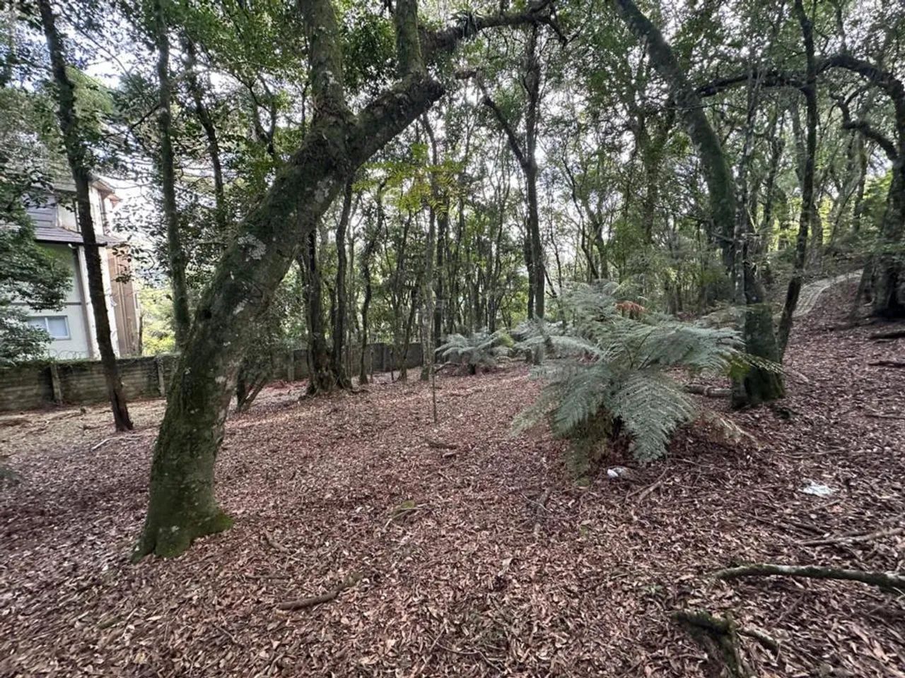 Terreno - Bairro Centro - Foto 4