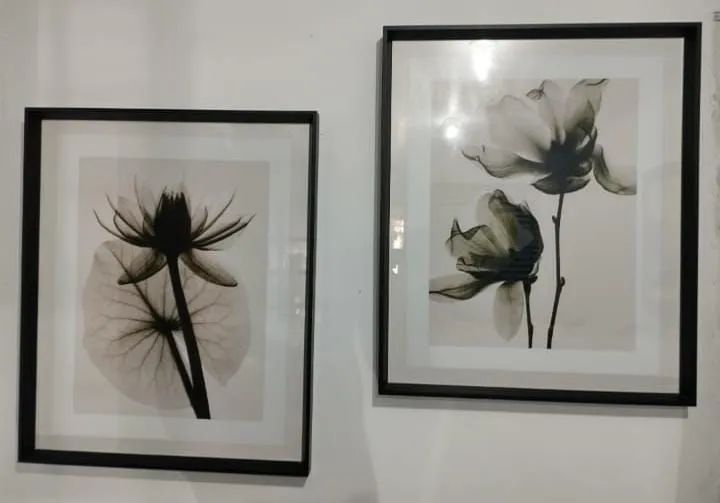 Objetos de decoração  - Foto 3