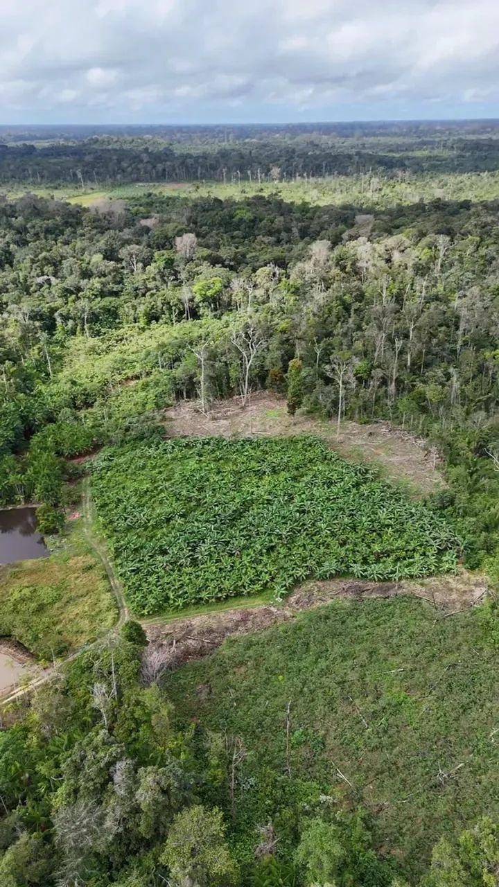 Fazenda/Sítio/Chácara para venda com 470000 metros quadrados com 2 quartos - Foto 4