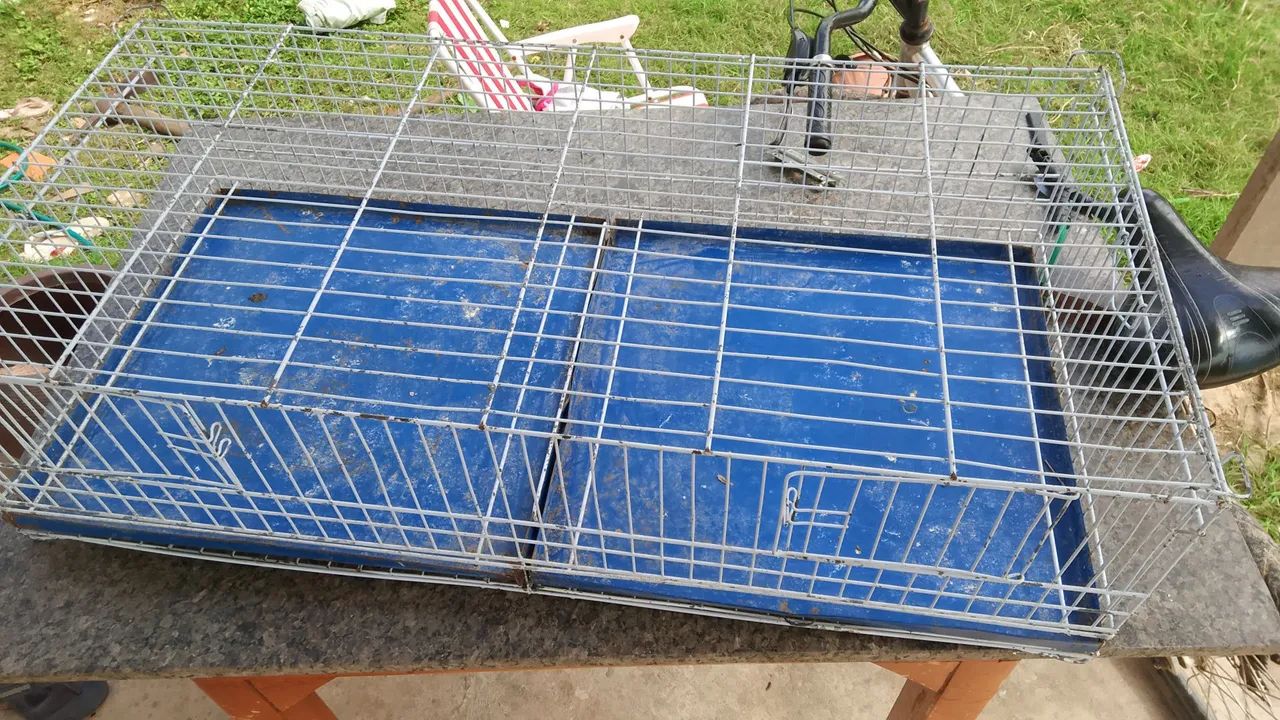 Pinteiro pra vender aceito troca 