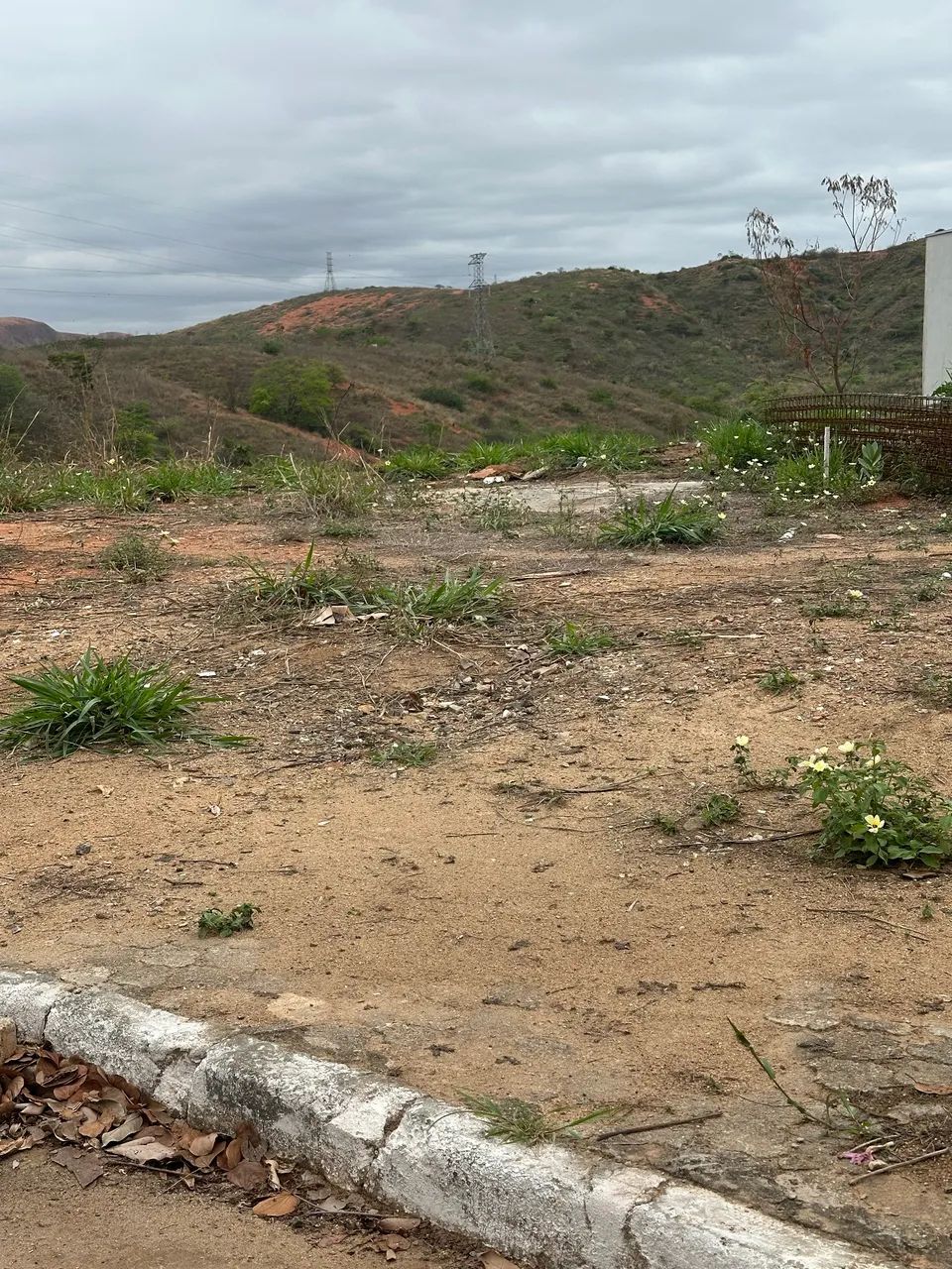 Lote cidade nova 430 m2 