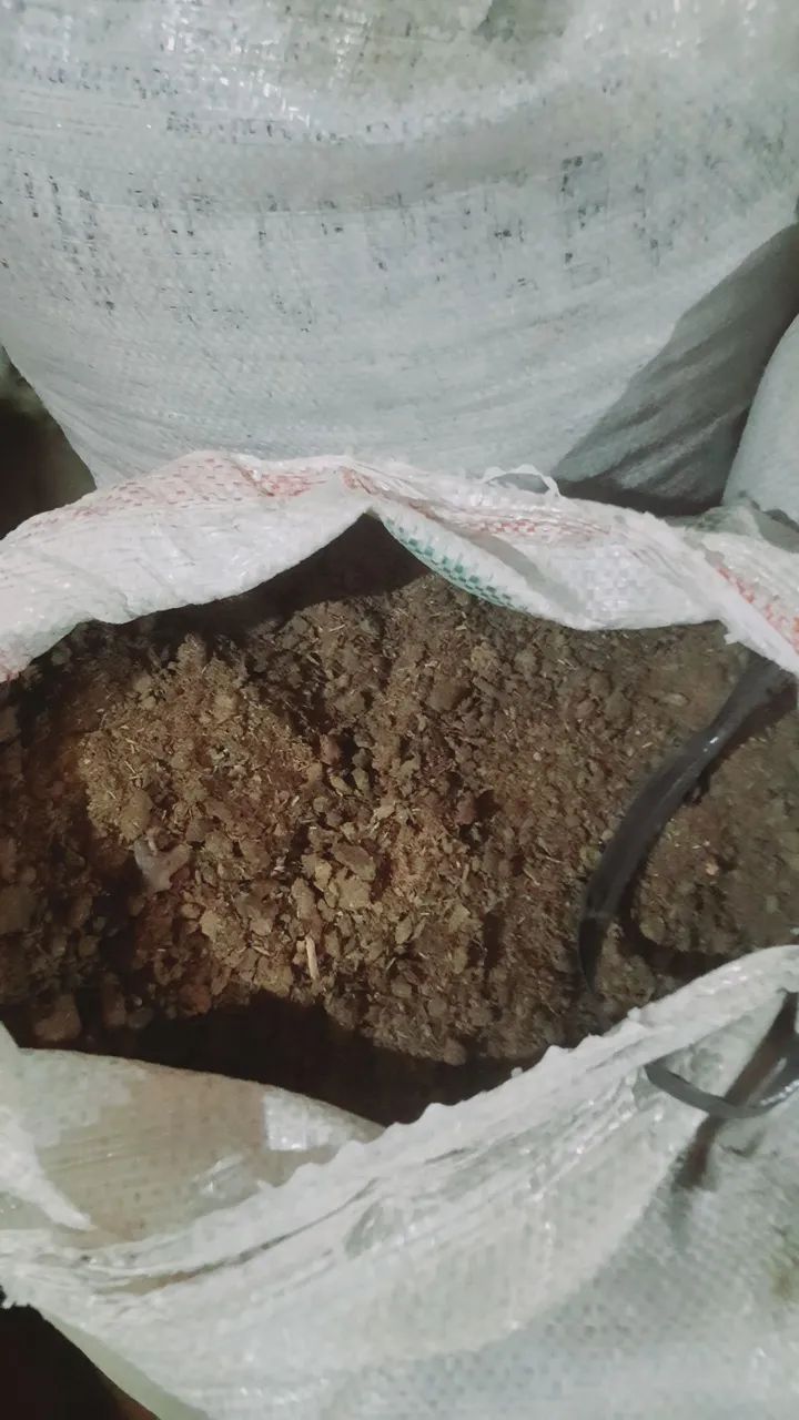 Vende-se estrume de gado. - Foto 4