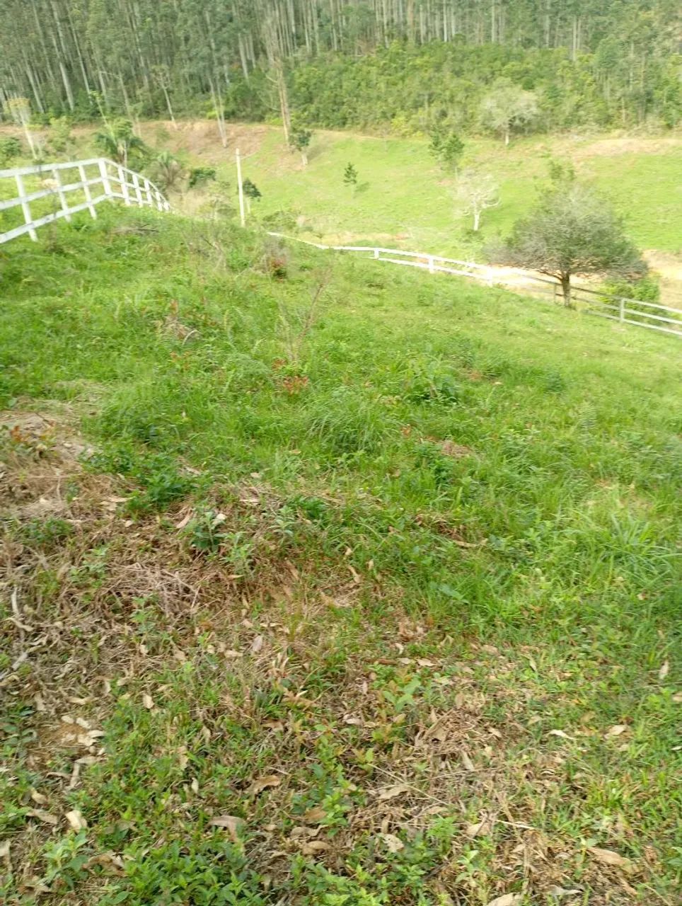 Terreno chácara  - Foto 3