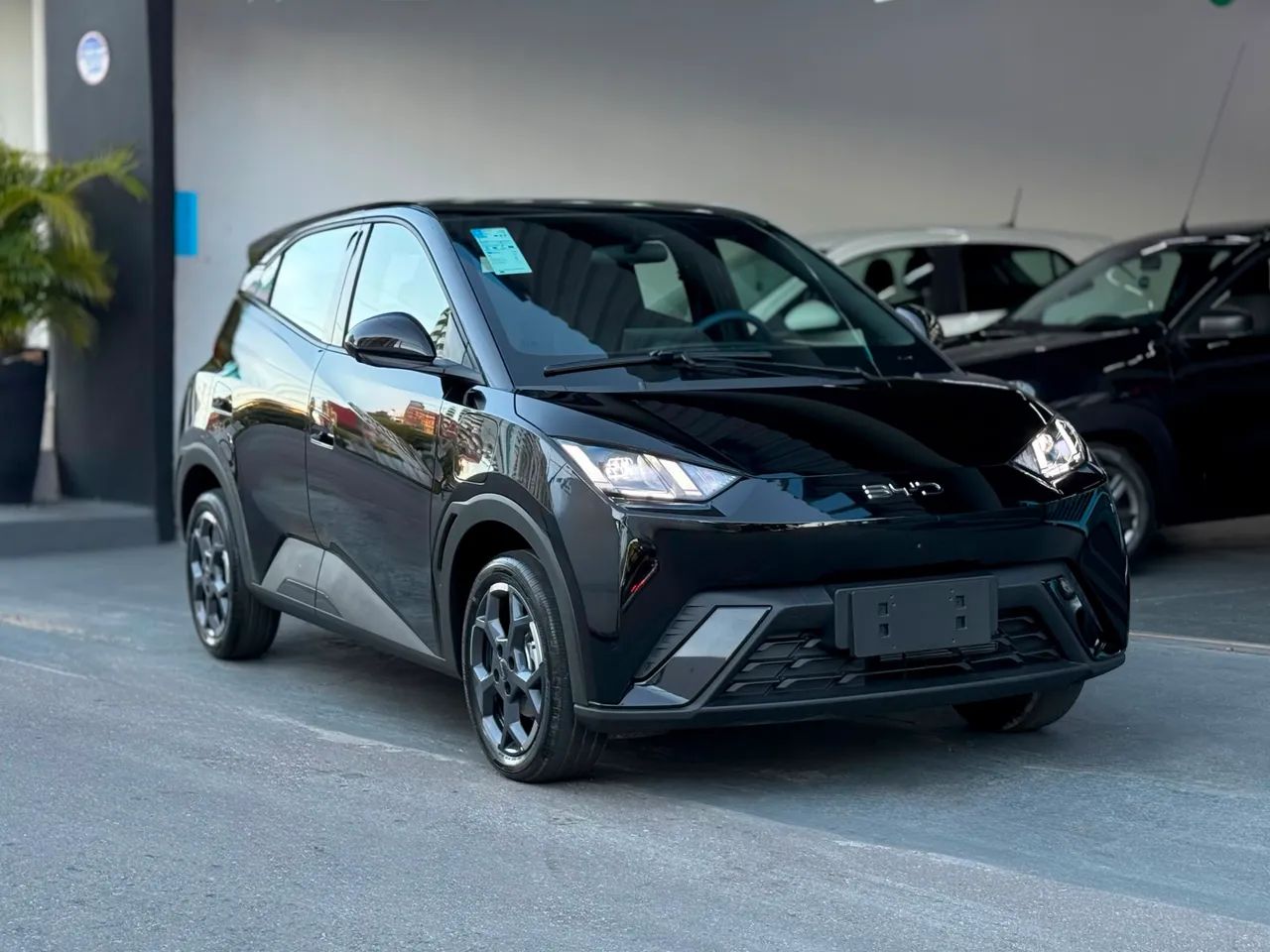 BYD Dolphin Mini (Elétrico) 2027