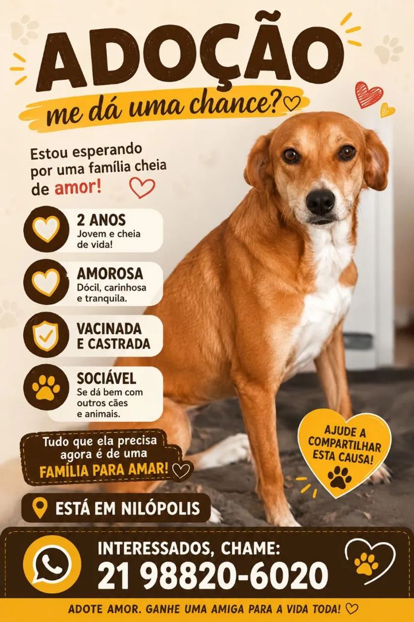 Doação de animais  - Foto 2