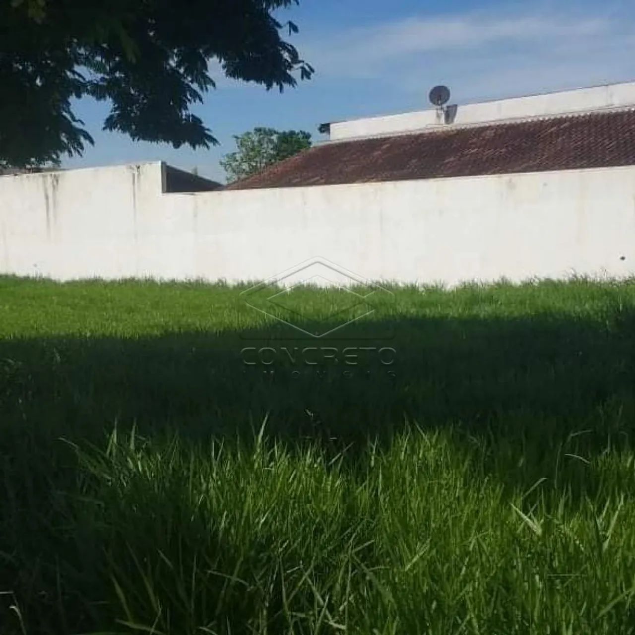 Terreno Padrão em Arealva - Foto 2