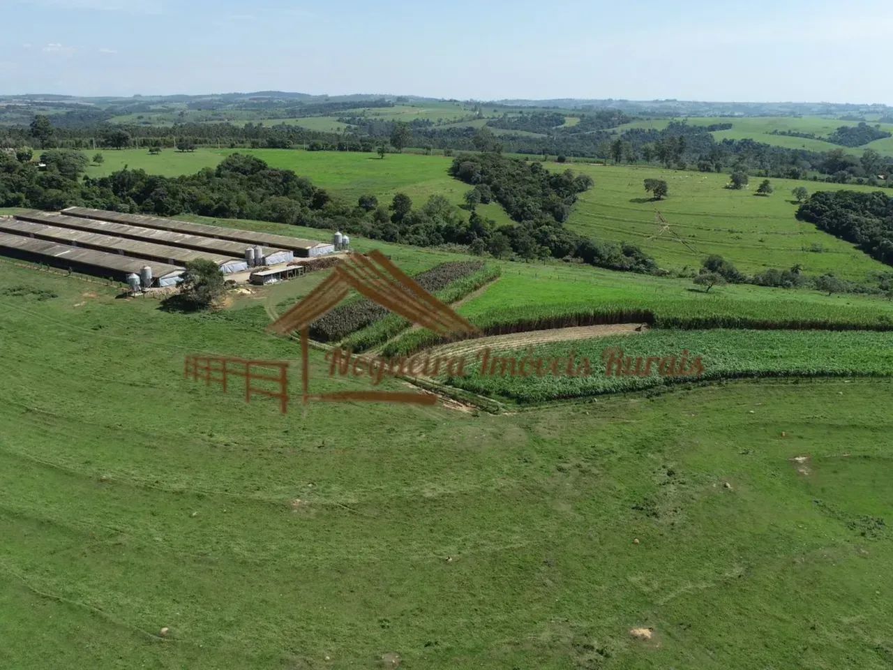 Sítio com galpões de granja, 85 mil aves, área com 20,8 alqueires - Foto 2