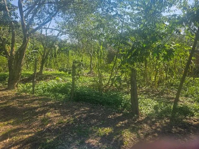 TERRENO EM GUAPIMIRIM  - Foto 4