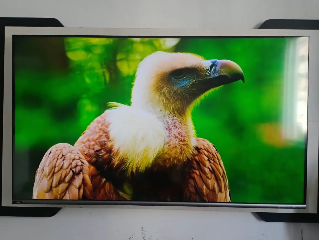 EXCELENTE TV PHILCO 50 POLEGADAS  - Foto 4