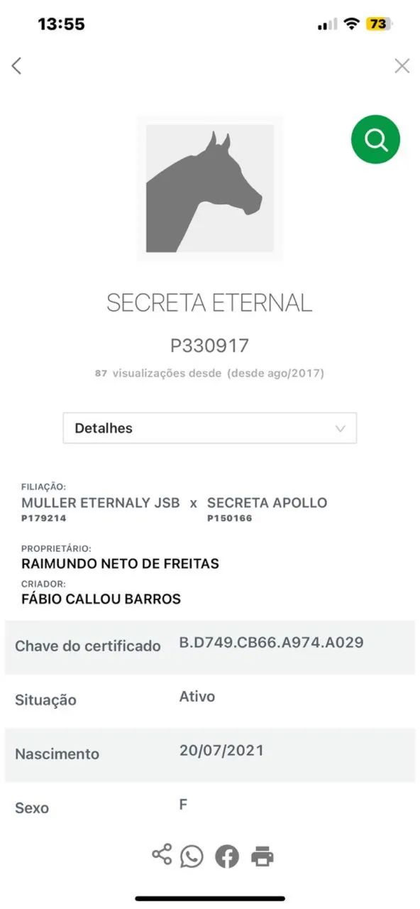 Vendo égua quanto de milha de direita - Foto 3