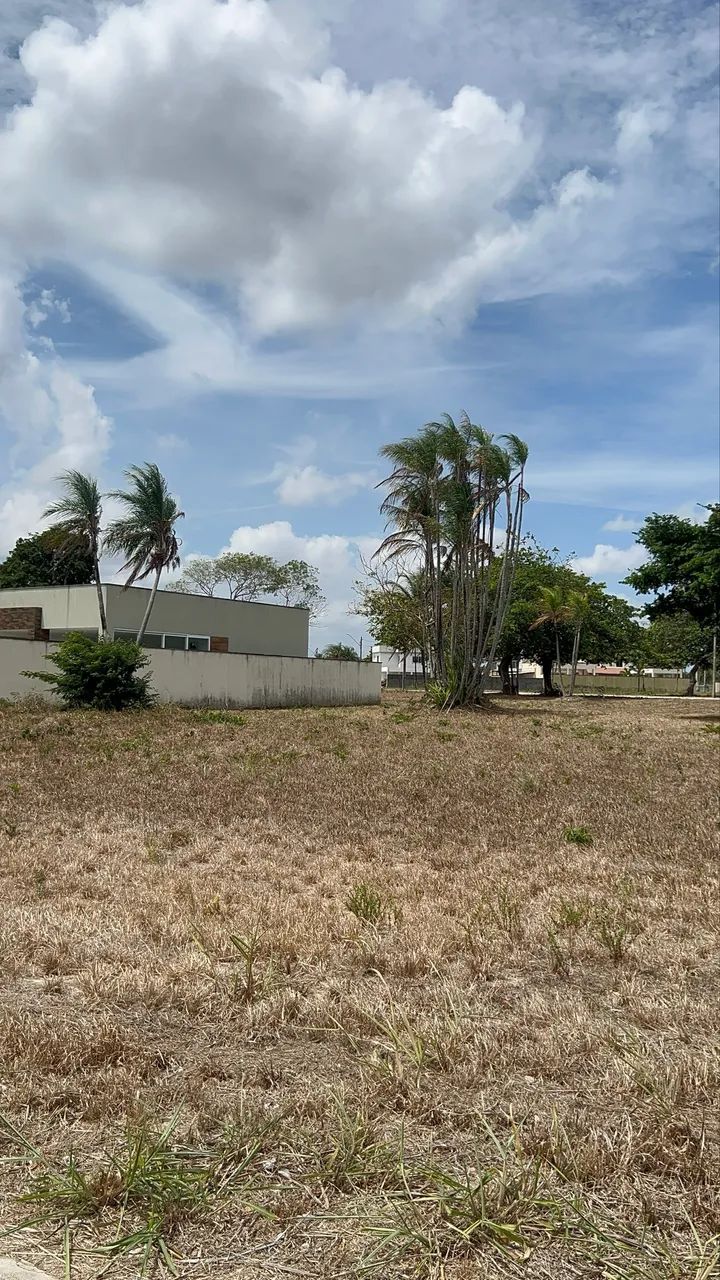 Terreno no Terras Belas Itaitinga 808,71 m² - Foto 4