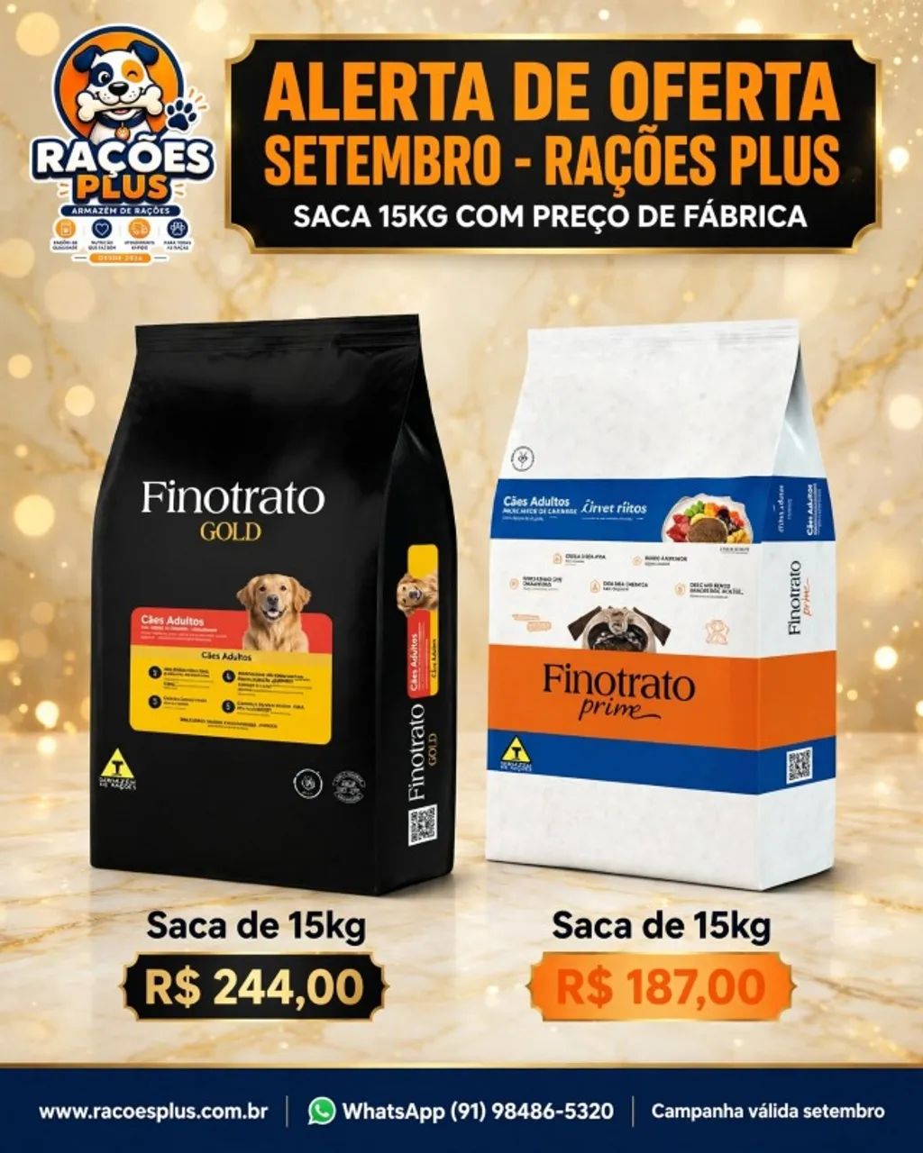 Cães e Gatos - Foto 4
