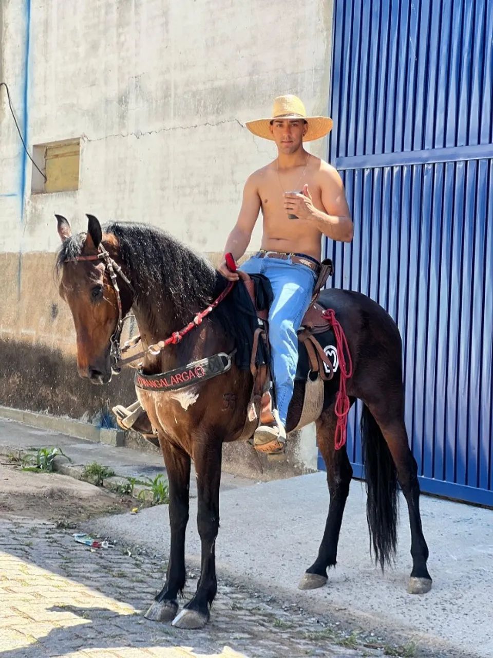 Cavalo - Foto 3