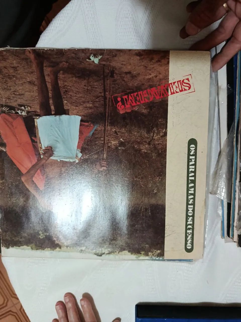 Vendo vinil paralamas do sucesso 