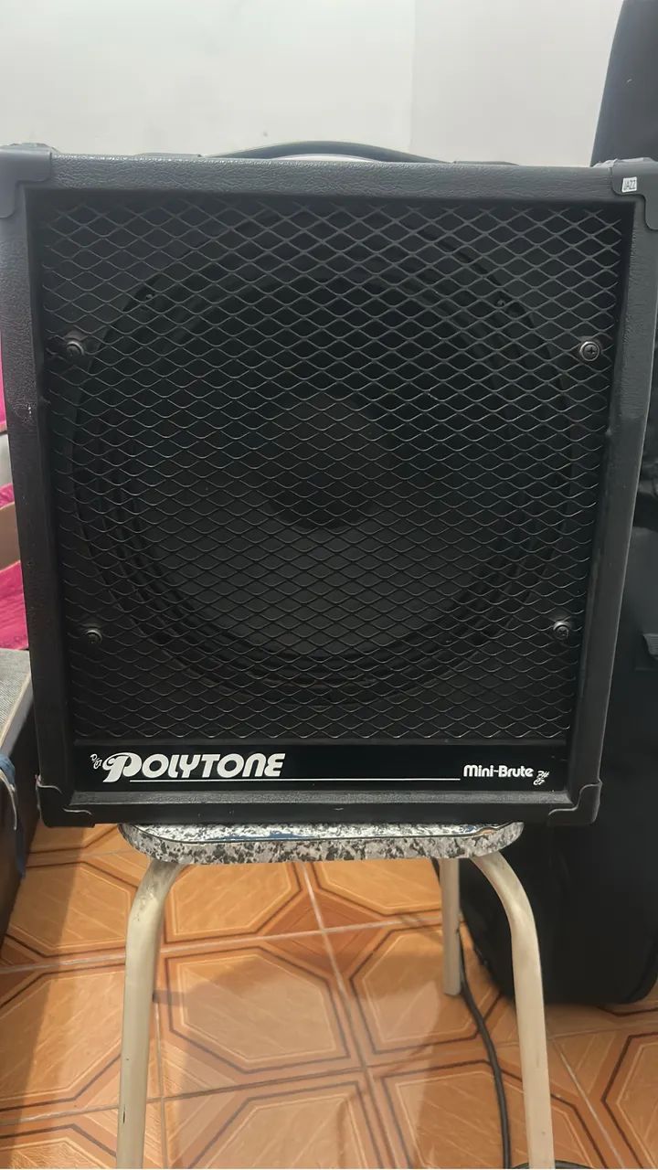 Amplificador Polytone mini brute 