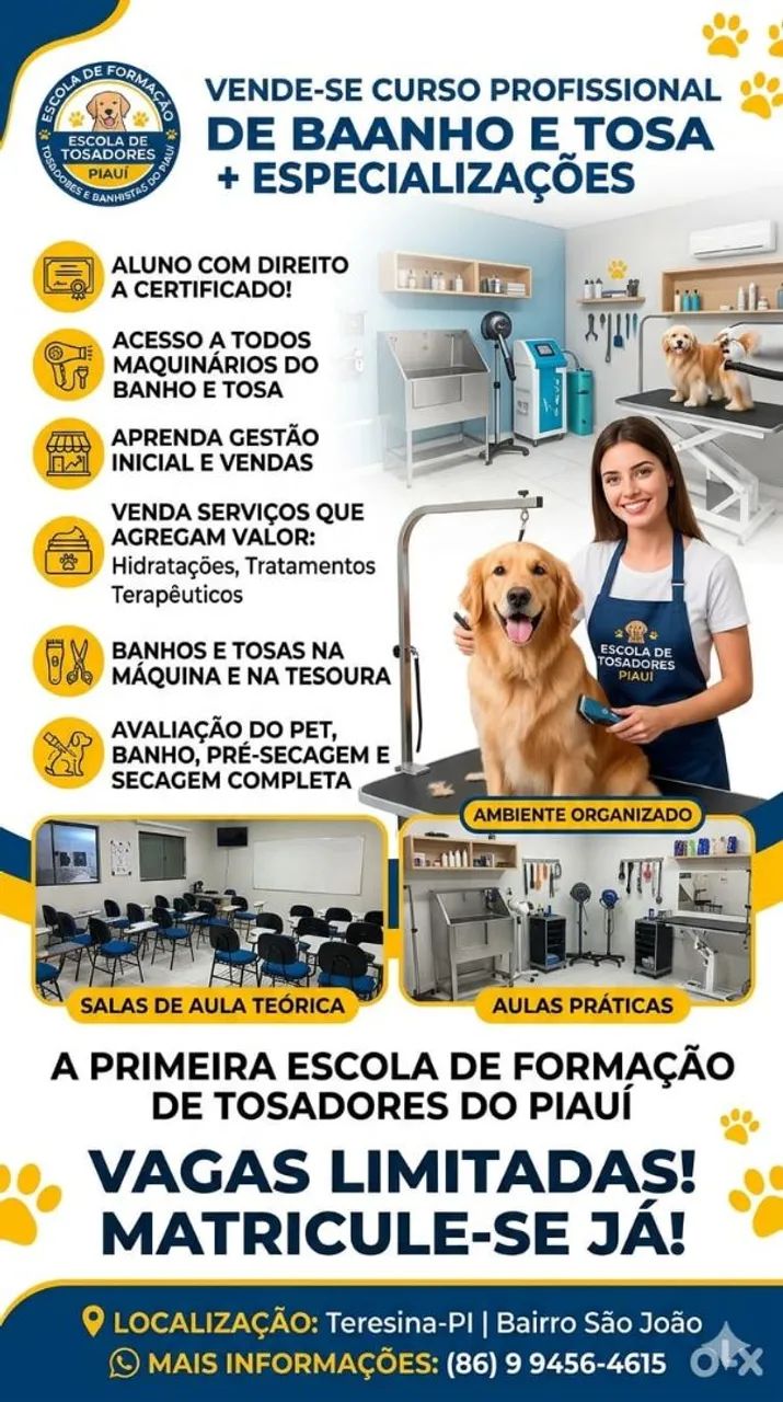 Cursos de Banho e Tosa com Estágio e Certificado - Aprenda com Especialistas! - Foto 4