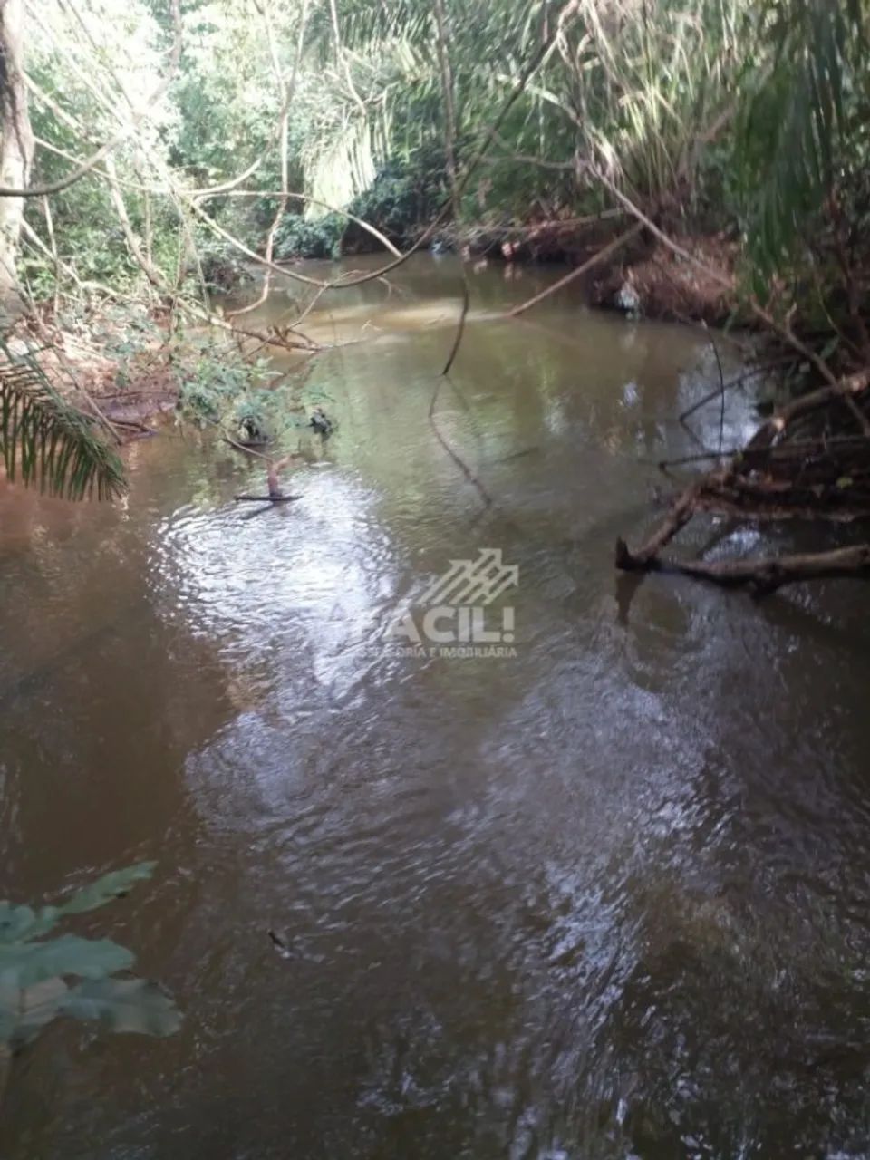 Chácara 3 Alq | Tanques de Peixe + Irrigação | 6km de Palmas | Oportunidade - Foto 3