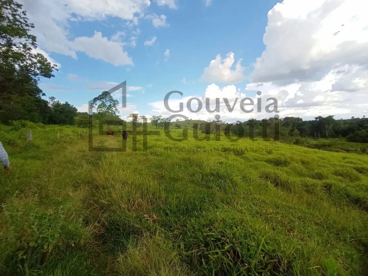 Chácara - Rural - Abadiânia - Foto 5
