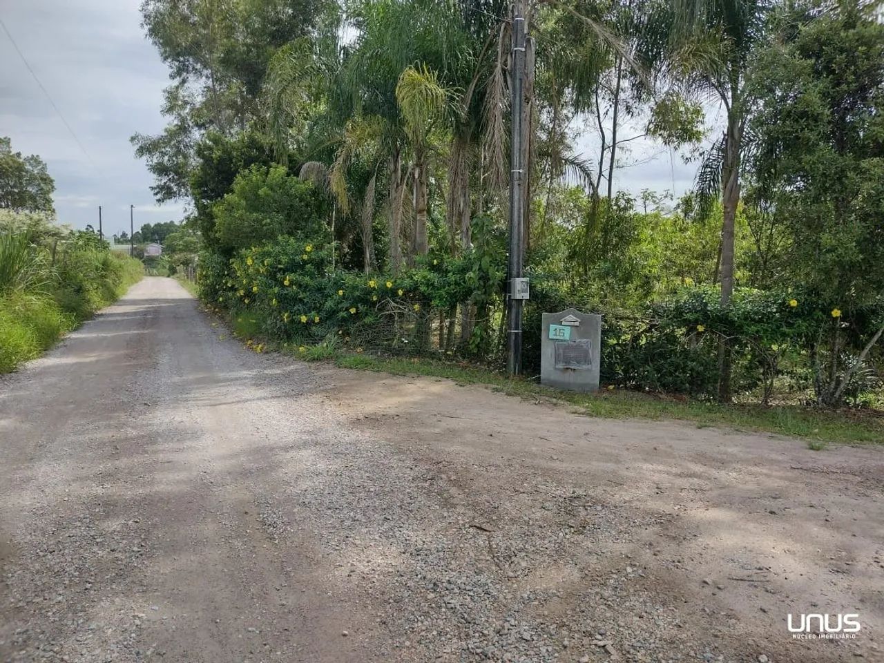 Terreno amplo para investir em Biguaçú - Foto 2