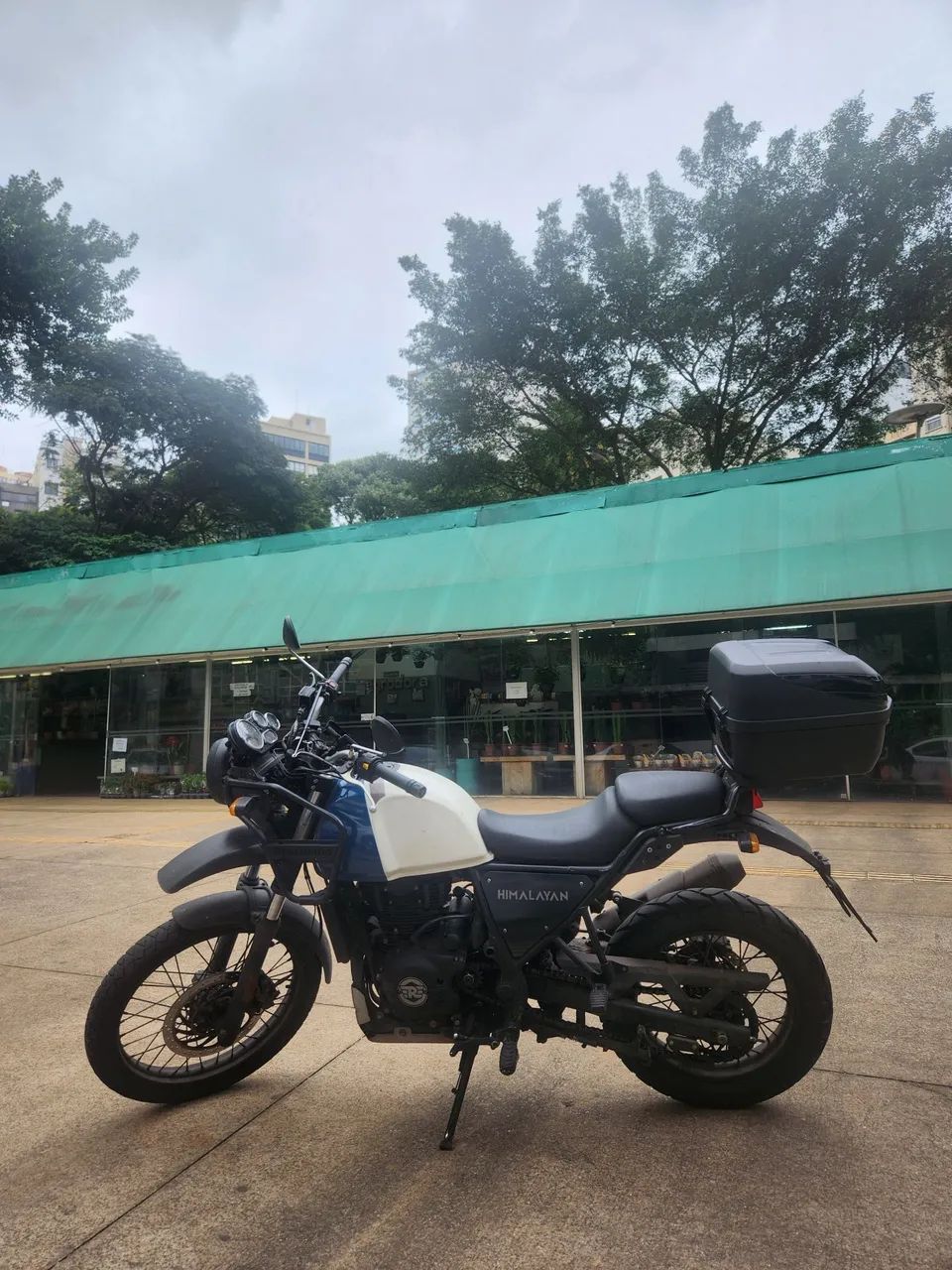 himalayan 411 oportunidade!