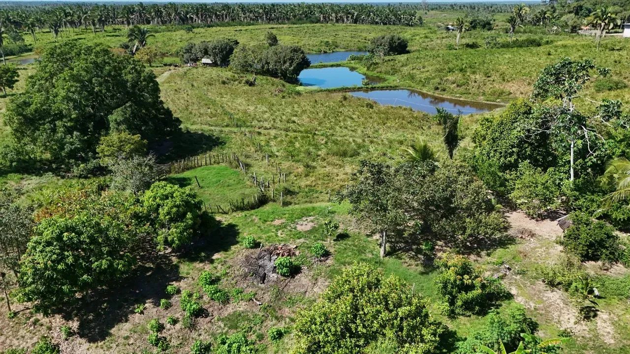 Terreno em Bom Jardim Marahão - Foto 4
