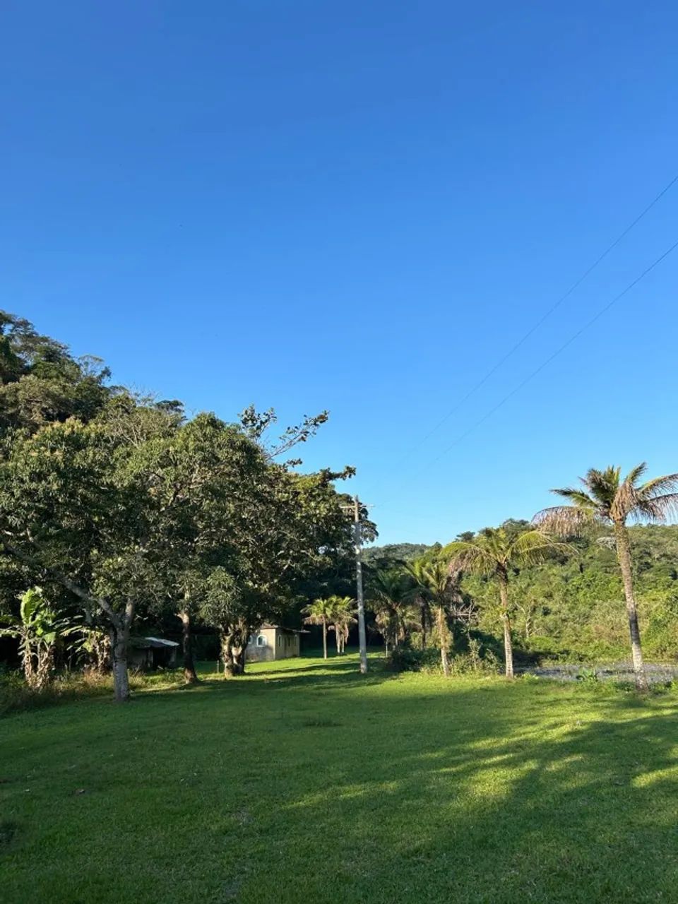 Sítio em Adrianópolis, 45m2, com RGI - Foto 2
