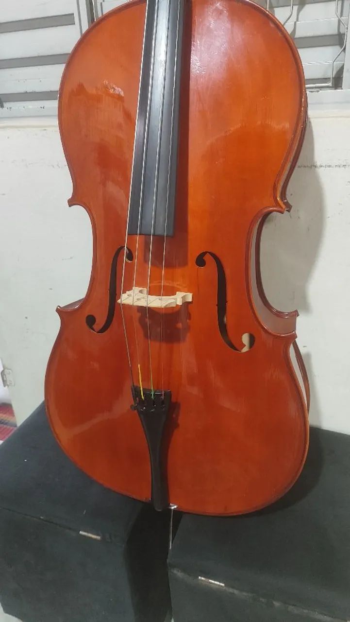 Violoncelo parrot 09  - Foto 3