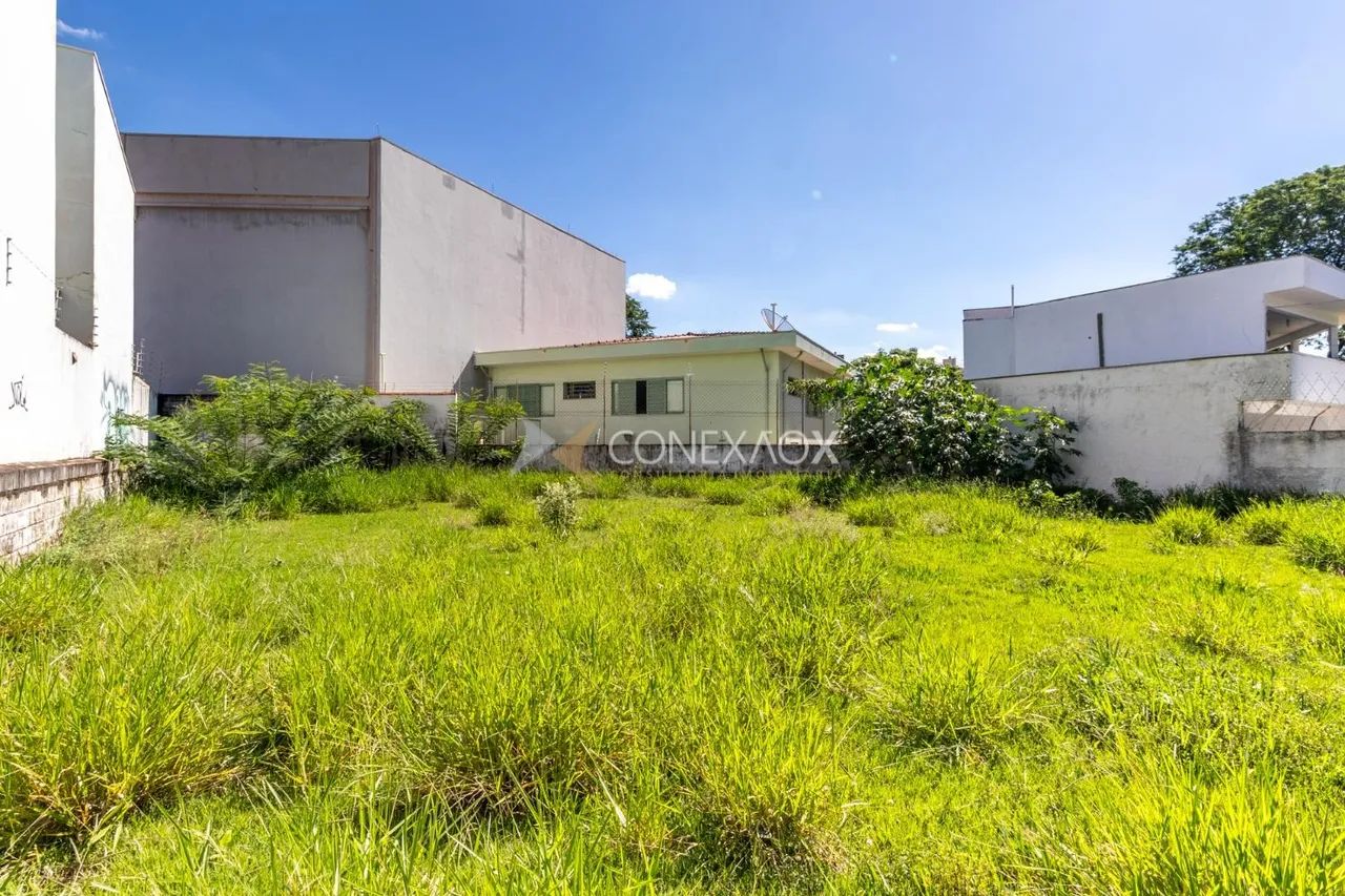 terreno - Jardim Paraíso - Campinas - Foto 3