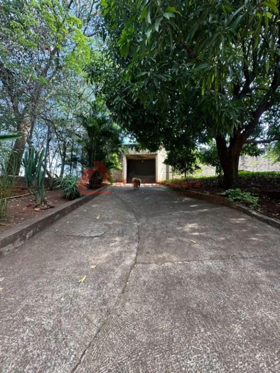 Casa Estilo Castelo com 5 Dormitórios, Piscina e Mirante - Foto 4