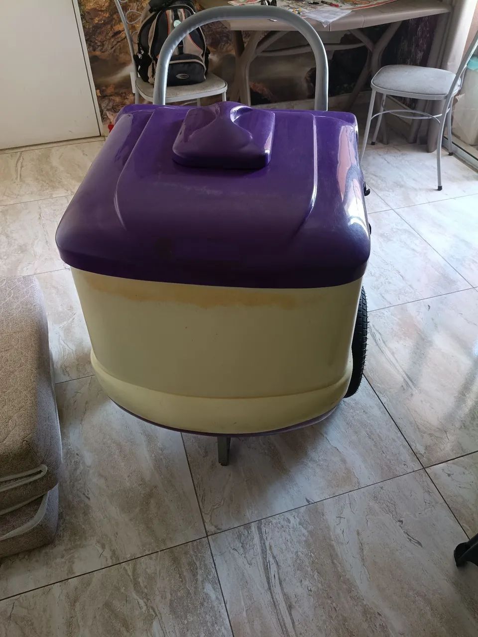 Carinho de sorvete 