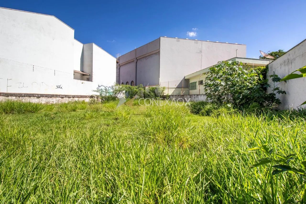 terreno - Jardim Paraíso - Campinas - Foto 4