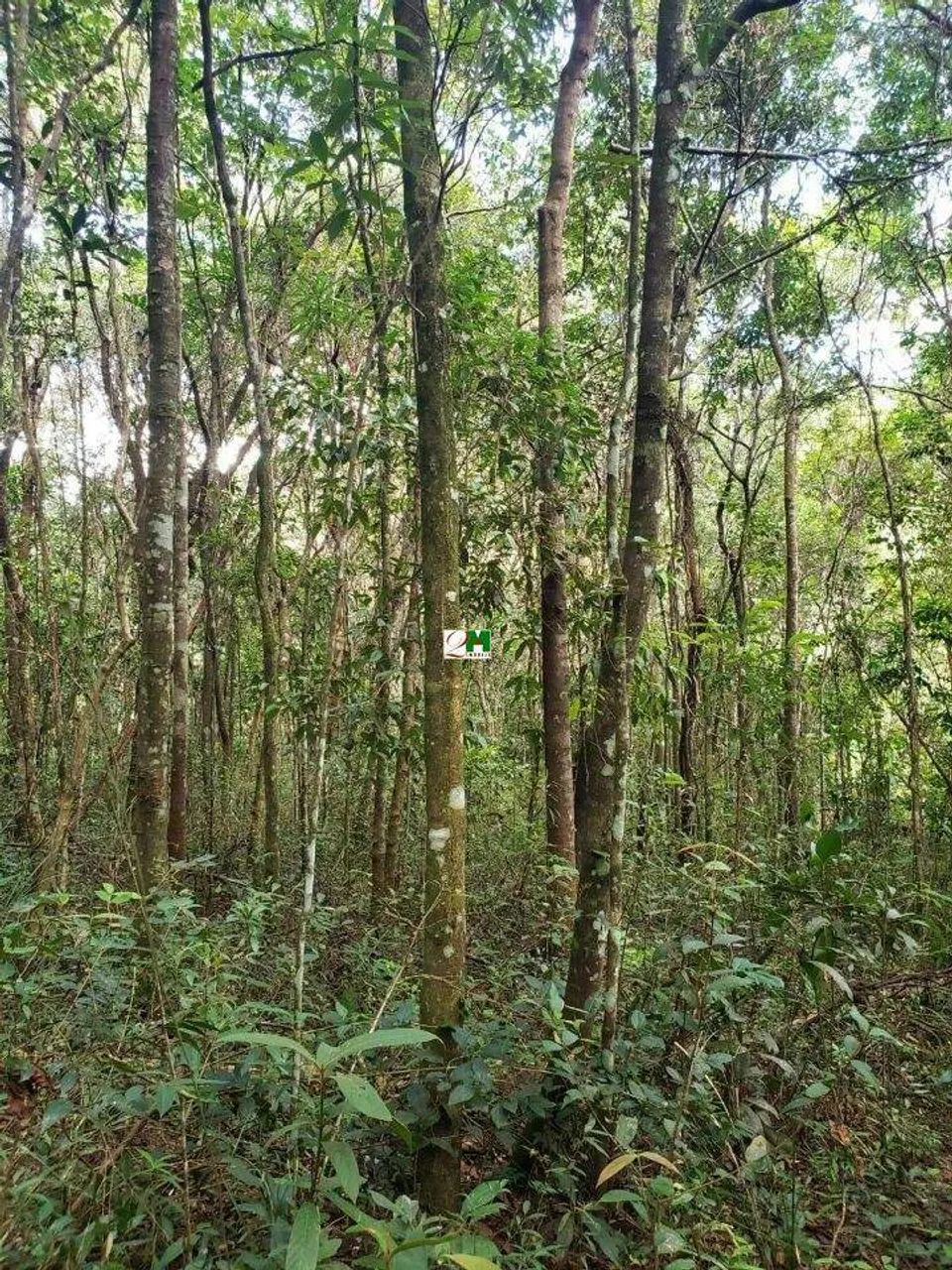 Lote em condomínio à venda, Pasárgada - Nova Lima/MG - Foto 3