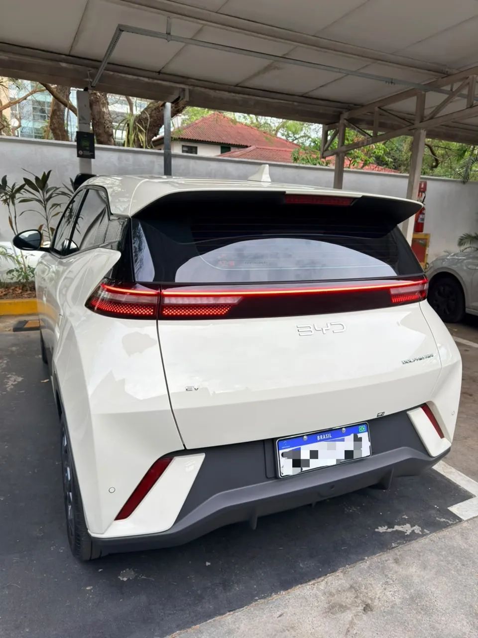 BYD Dolphin Mini GL 2027 - Foto 2