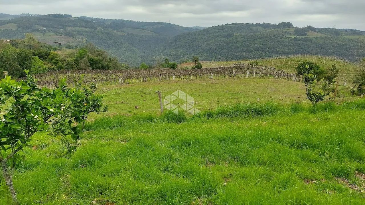 Terra no interior de Monte Belo do Sul - Foto 2