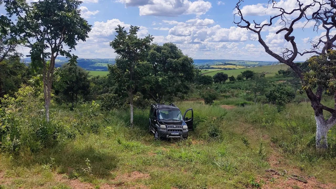 Foto - Goiânia - Jardim Europa