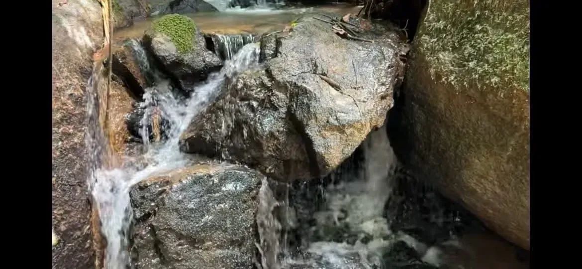 lindo terreno com cachoeira - Foto 3