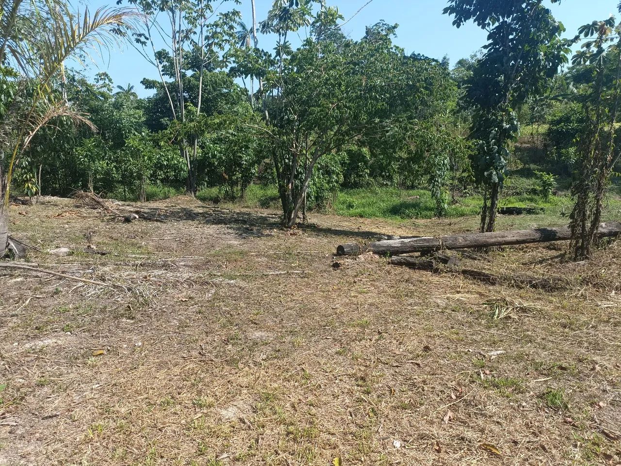 VENDE-SE UM TERRENO  - Foto 3