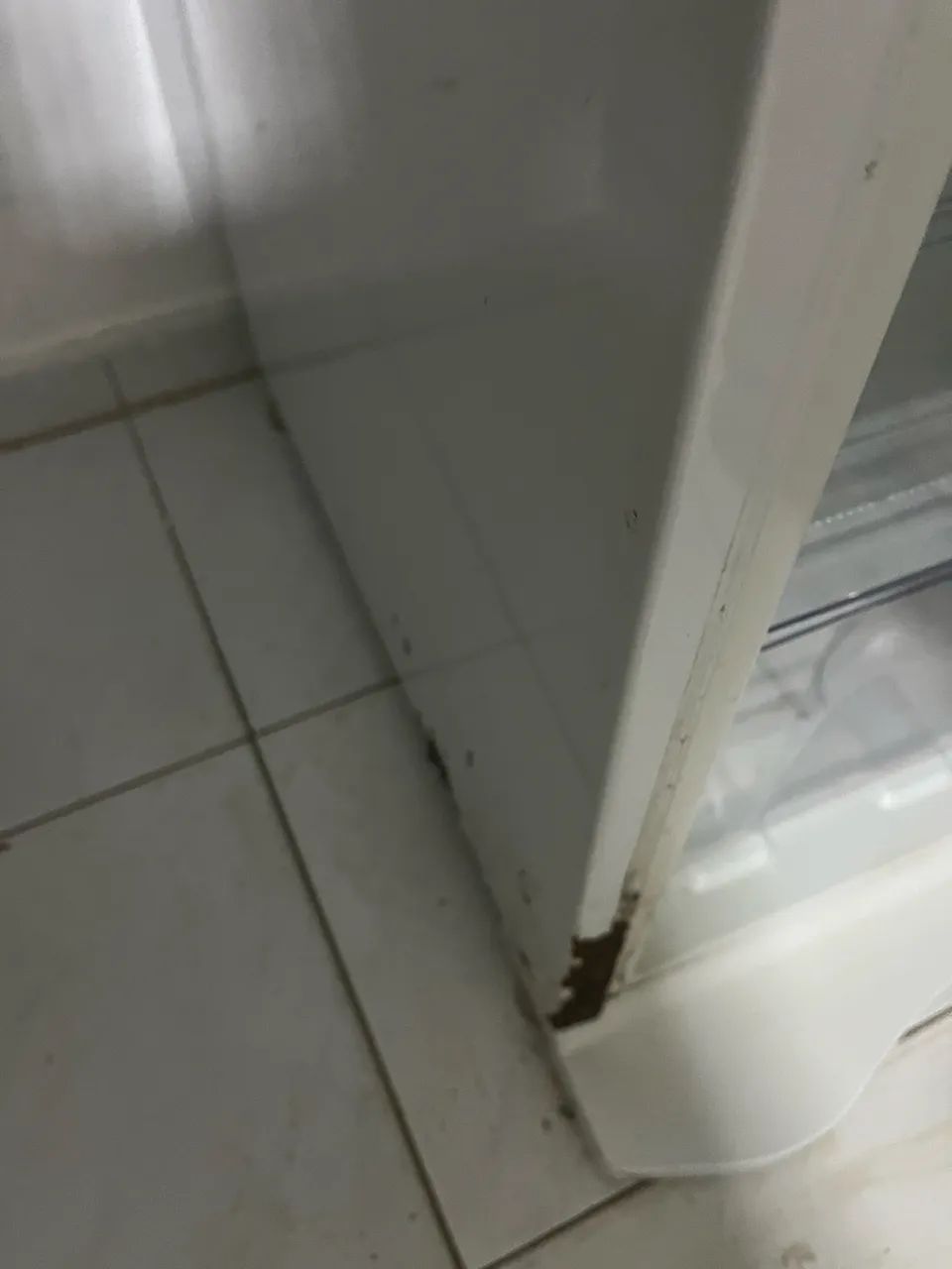 Geladeira Eletrolux DF42 - Foto 5
