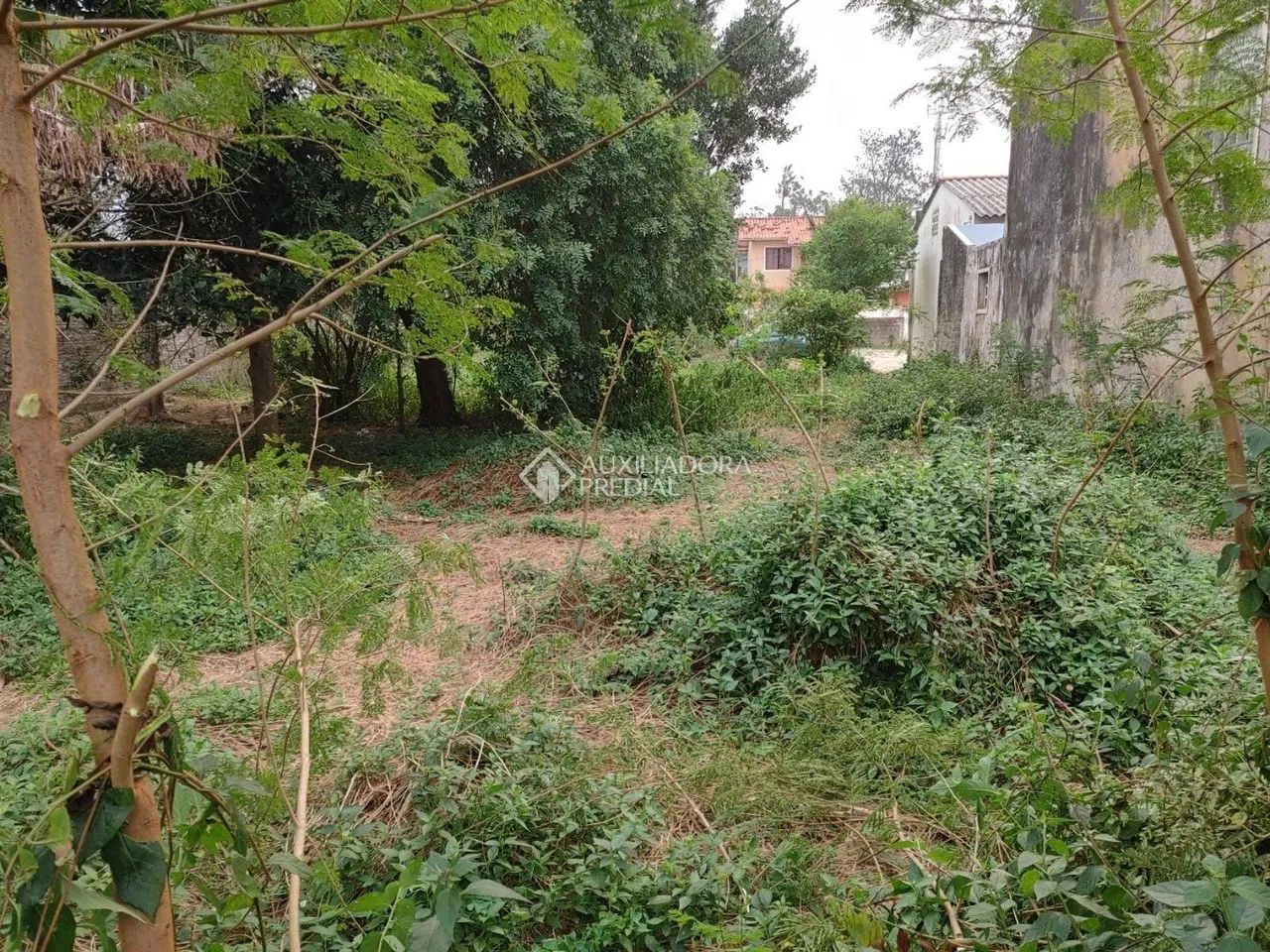 Terreno com viabilidade proximo a praia - Foto 2