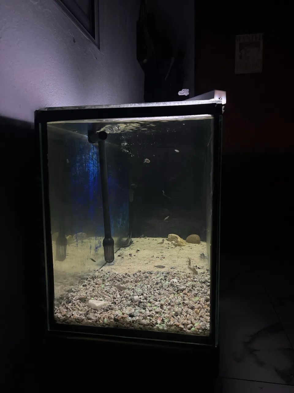 Aquário 120l - Foto 2