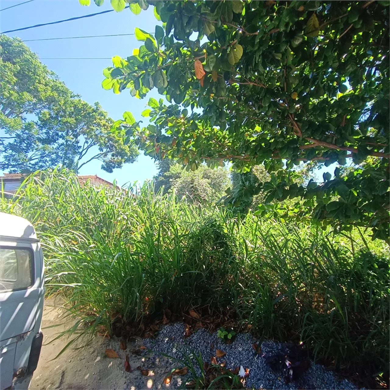 Terreno à venda em Caravelas - RJ - Foto 4