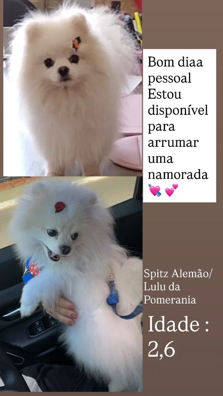 Vendo  - Foto 2