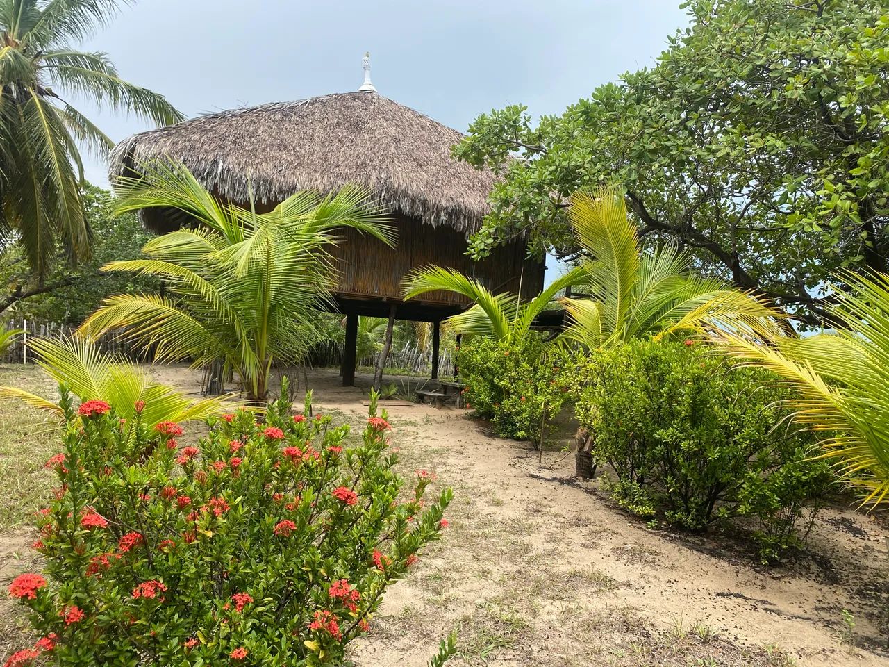 Terreno em Atins / lençóis maranhense  - Foto 4
