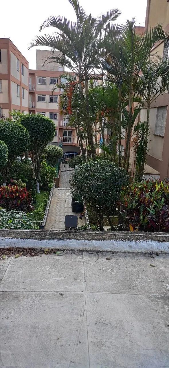 Jardineiro Profissional SP * - Foto 4