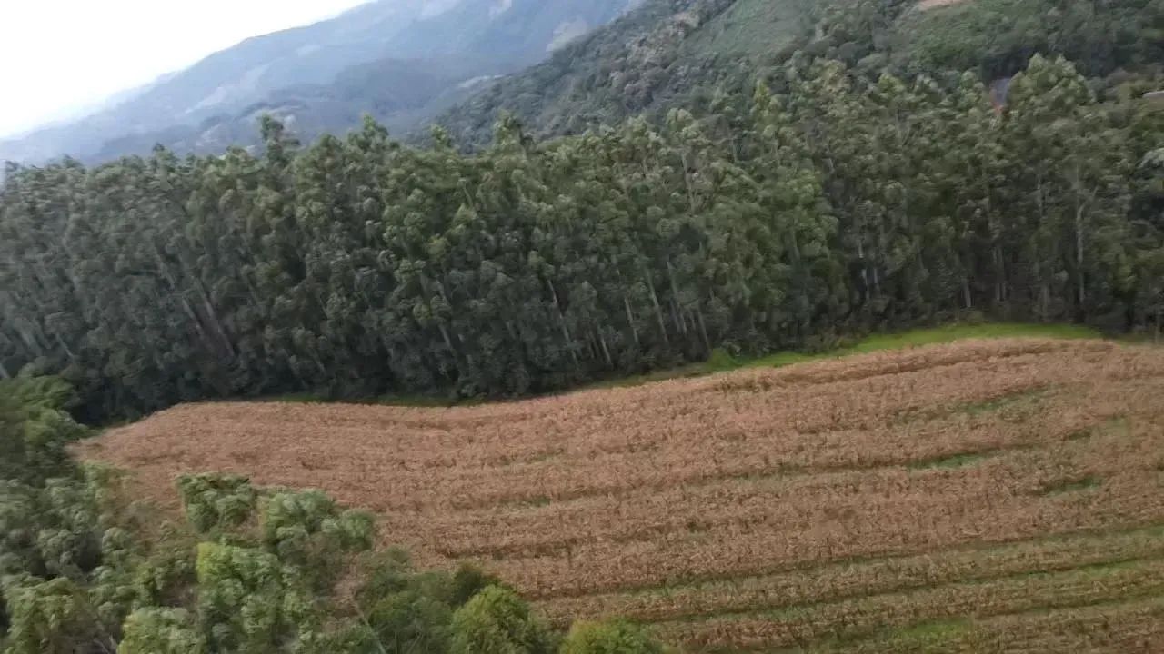 Belo Sitio em Anitápolis - SC - Foto 5