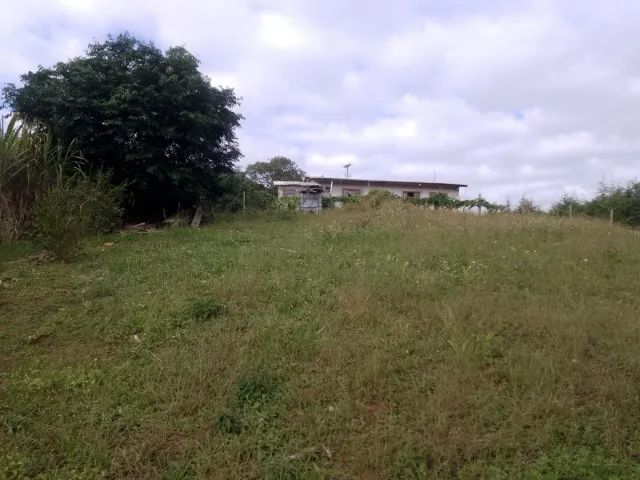 chacara em contenda - Foto 5