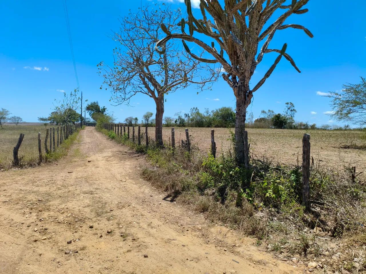 Terreno em Feira Nova  - Foto 2