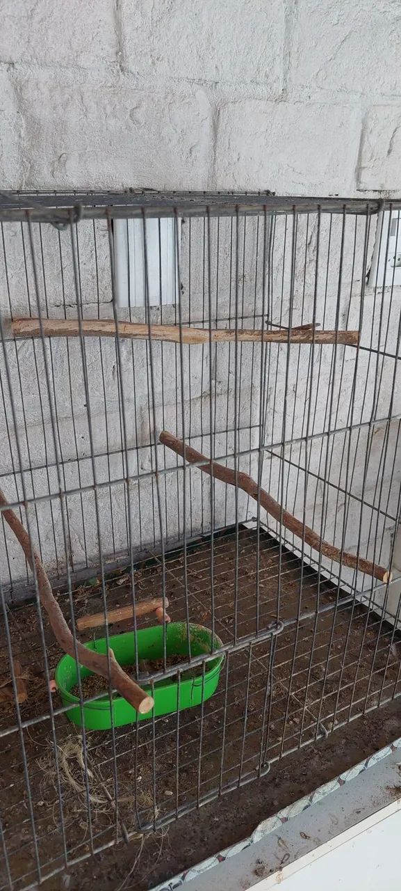 Gaiola de calopsita com acessórios.  - Foto 4