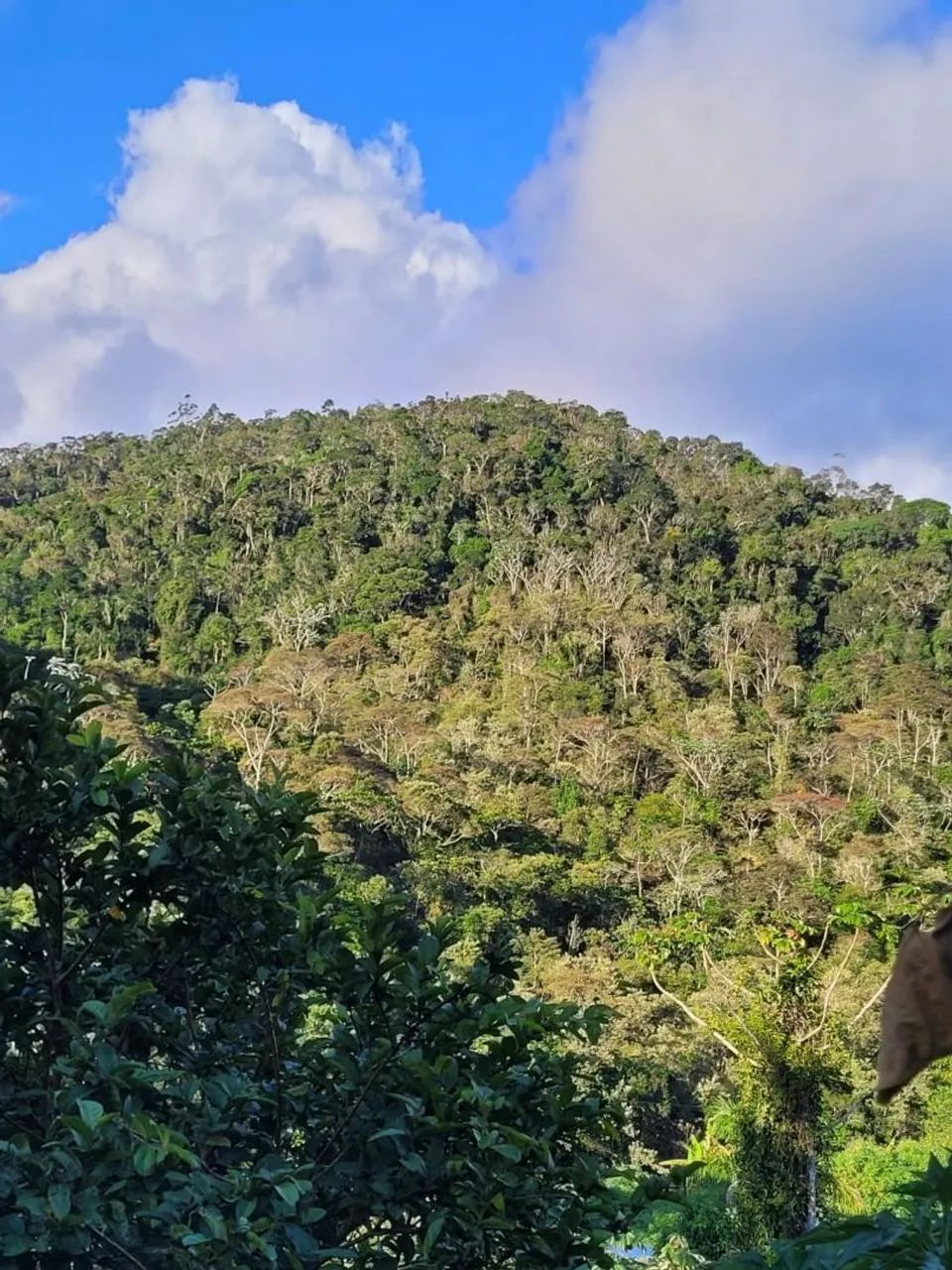 Alugo casa de roça no sítio (temporada) Santa Teresa ES - 2,5 km da Rua do Lazer  - Foto 5